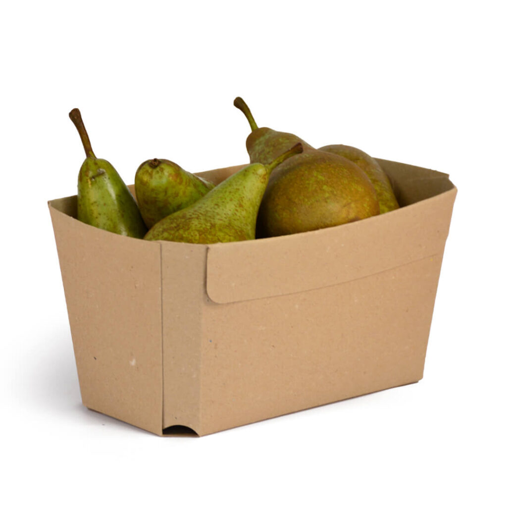 Fruitbak 1000 gram Karton