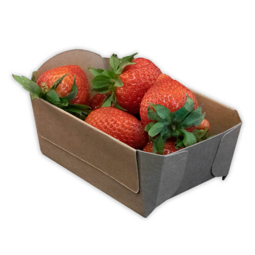 Re-Fruiter-Tray-Aardbeien-bakje-250-gram Re-Fruiter Tray® Aardbeienbakje 250 gram (Copy)