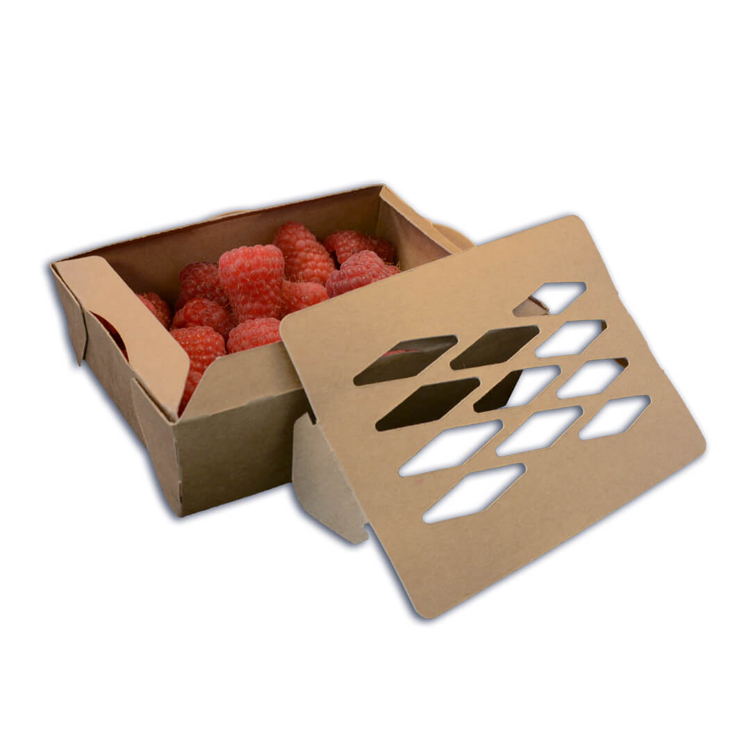 Re-Fruiter Tray® Beerentablett 125 Gramm