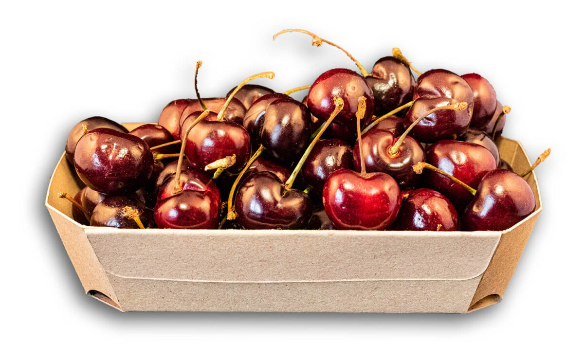 Kersenbak 500 gram Karton