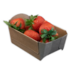 Re-Fruiter Tray® Aardbeienbakje 250 gram