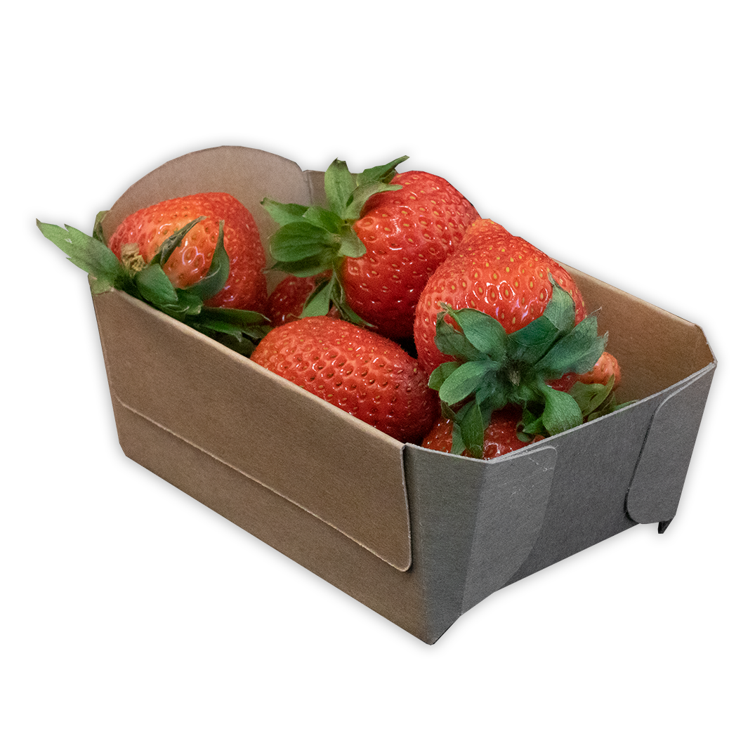 Re-Fruiter Tray® Aardbeienbakje 250 gram