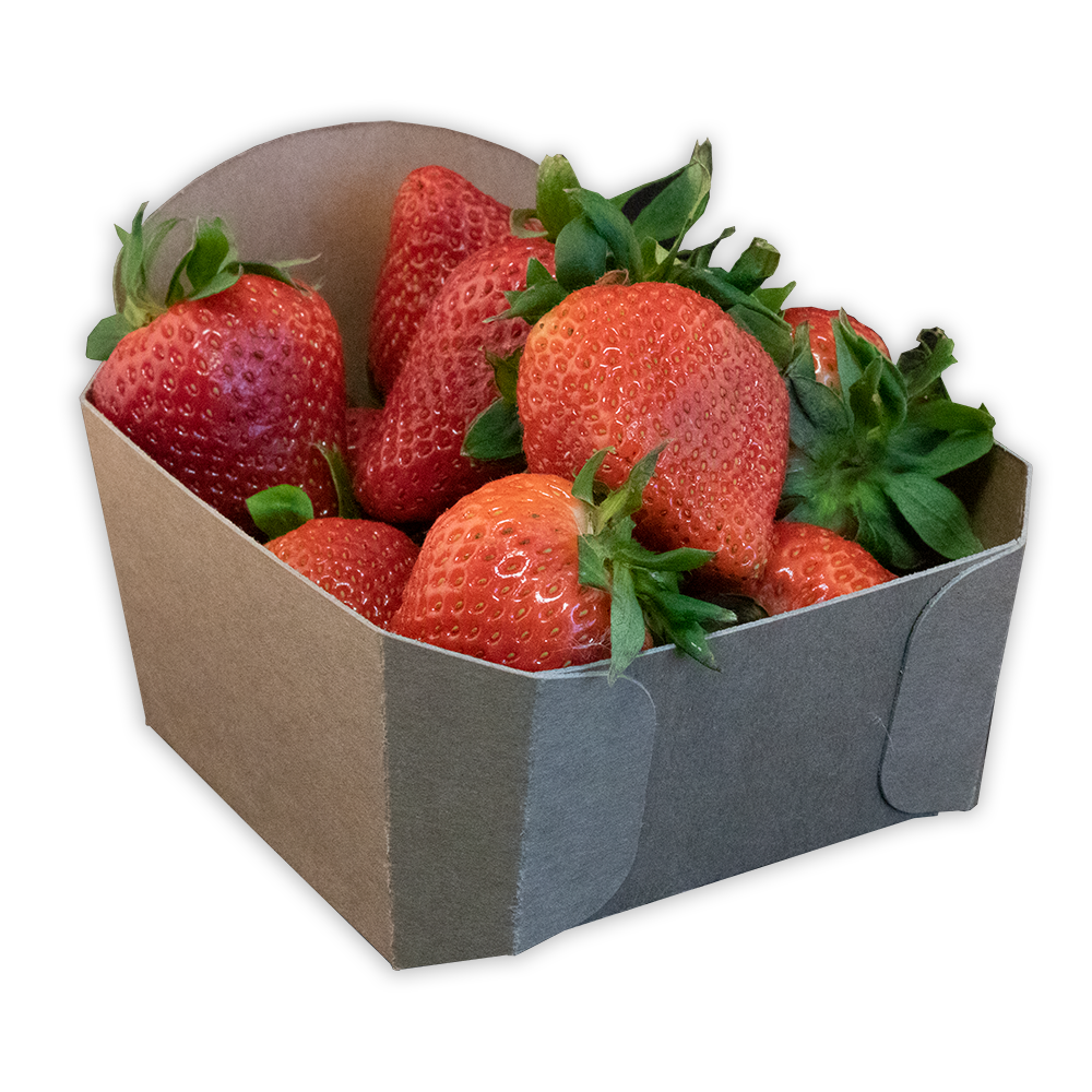 Re-Fruiter Tray® Erdbeer Tray 400 Gramm