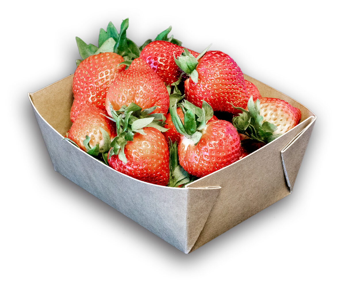 Kersenbak 500 gram Karton