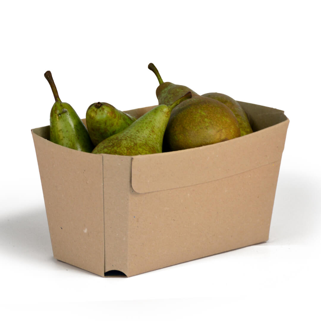 Früchteschale 1000g Karton