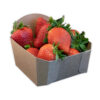 Re-Fruiter Tray® Erdbeer Tray 400 Gramm