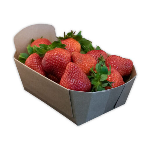 Re-Fruiter Tray® Aardbeienbakje 500 gram