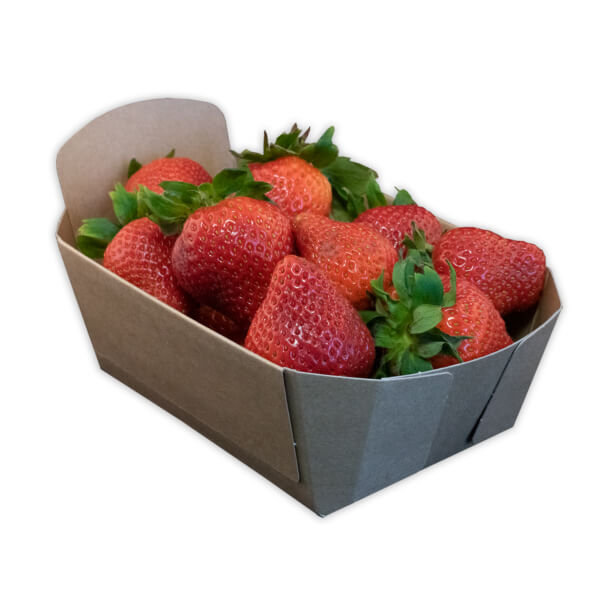 Re-Fruiter Tray® Aardbeienbakje 500 gram